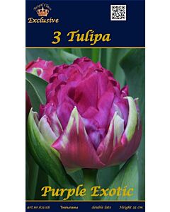 Лалета  Purple Exotic (пакет - 3 луковици)