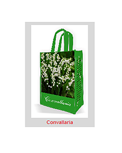 Момина сълза (Convallaria)